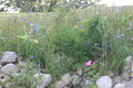 2009 EBC Church at the River-2009-07-26_18-28-51.jpg